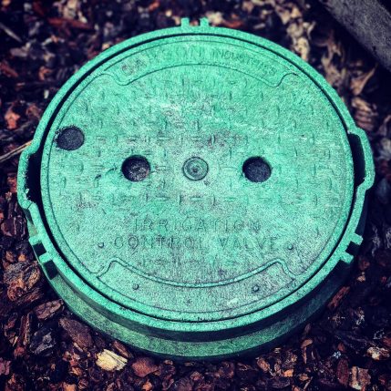 photography-sfsf-13